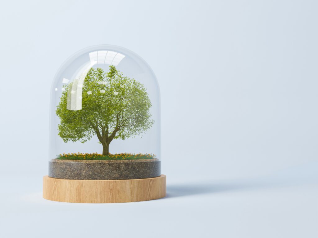 Building IT Ecosystems Instead of Just Software