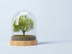 Building IT Ecosystems Instead of Just Software