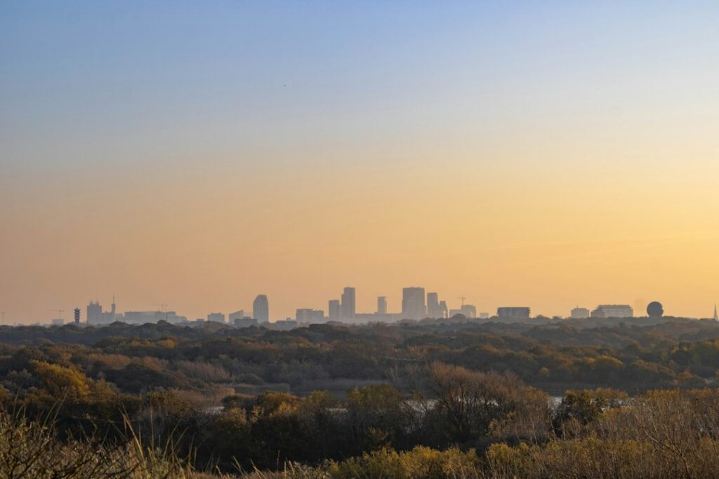 IT support The Hague: the skyline of The Hague at sunset